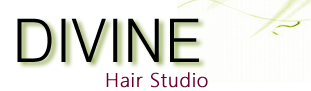 Divine Hair Studio